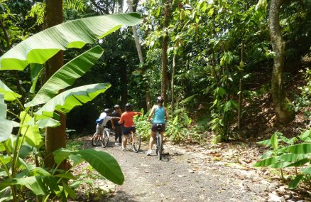 Photo credit: National Parks Board, Ulu Sembawang Park Connector