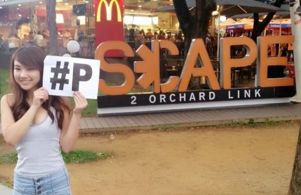 Janice of Tree Potatoes took her photo at *SCAPE