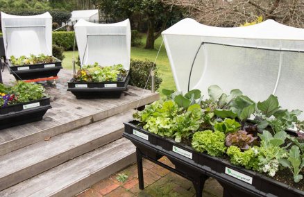 Photo credit: Vegepod Singapore's Facebook page