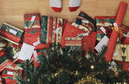 Photo credit: Srikanta H.U. 