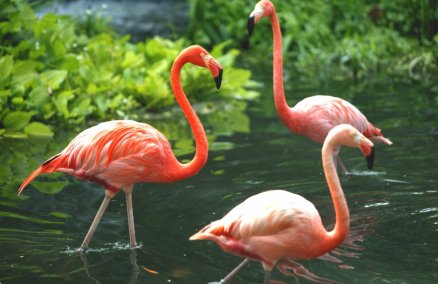 Photo credit: Singapore Tourism Board