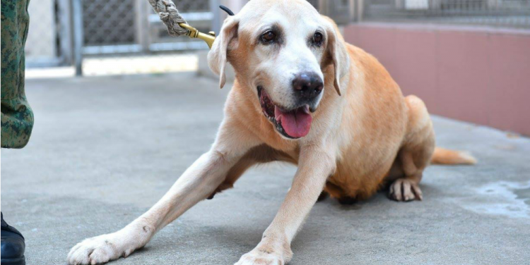 Photo credit: Cyberpioneer