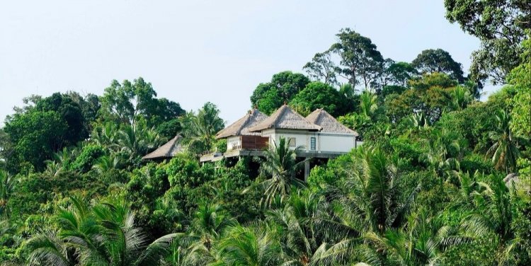 banyan_tree_bintan_deluxe_villa_amidst_rainforest_1.jpg