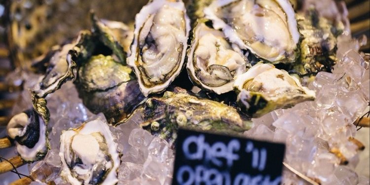 sea__blue_oysters.jpg