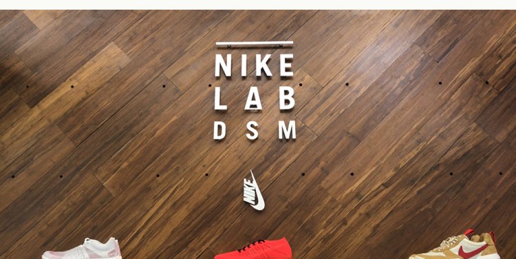 nikelabdsm.jpg
