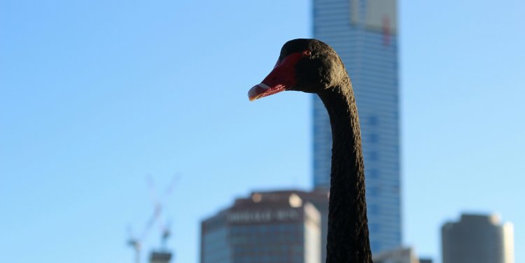 On the Capital City Trail