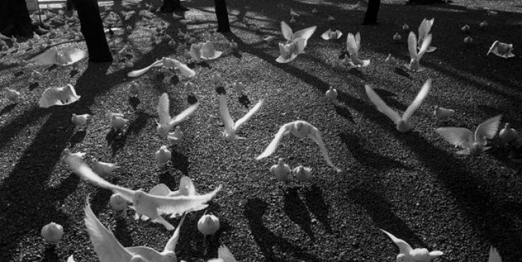 Abbas, 45 Years in Photography