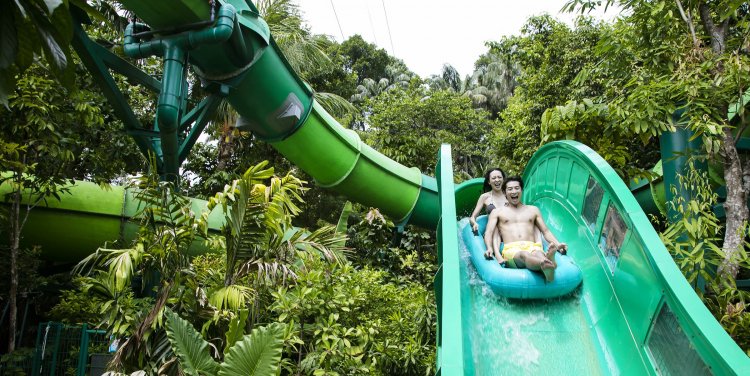 Adventure Cove Waterpark
