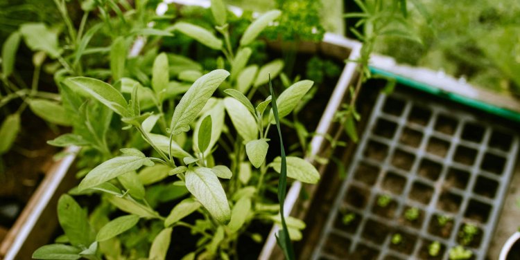 Photo by Aleksandra Boguslawska on Unsplash