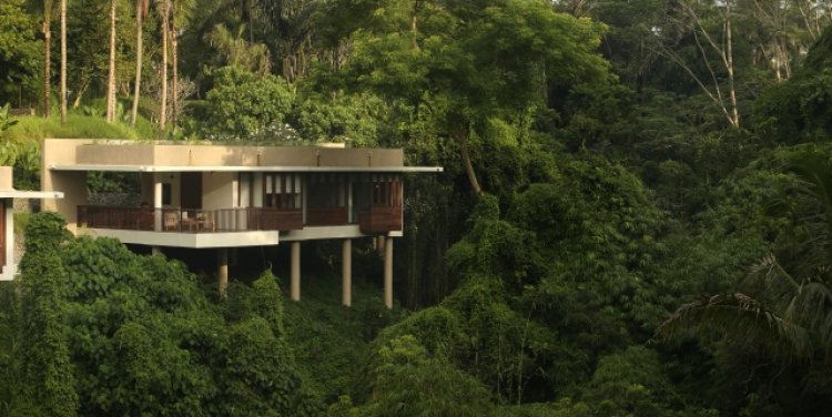 Alila Ubud Terrace Tree Villas