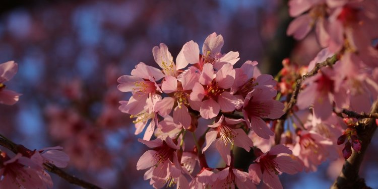 Photo by Alvaroreguly