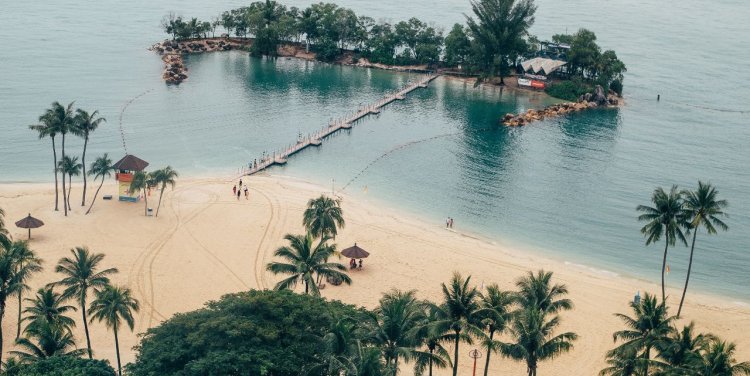  Credit: Annie Spratt/Unsplash