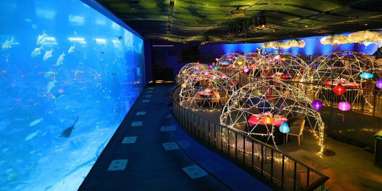 Aqua Gastronomy Spring Edition