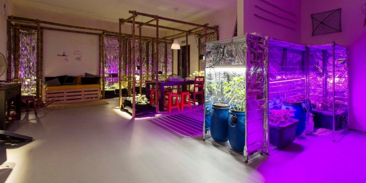 Mitigation of Shock (Singapore Edition) by Superflux