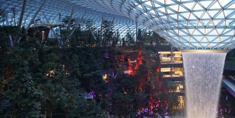 Jewel Changi Airport's Shiseido Forest Valley