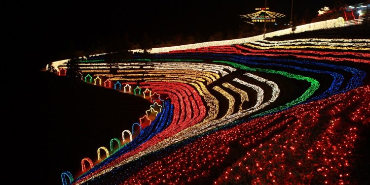 Boseong Green Tea Plantation (credit Korea Tourism Organization)