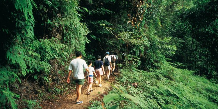 Bukit Timah Nature Reserve