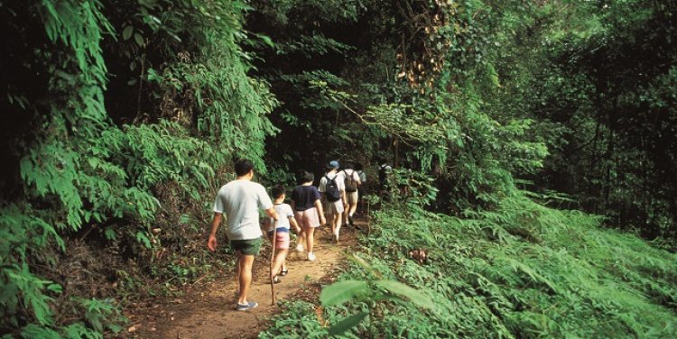 Bukit Timah Nature Reserve, Singapore