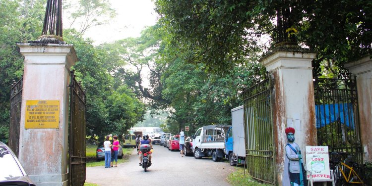 Bukit Brown: Before. Photo credit: The Singapore Heritage Society