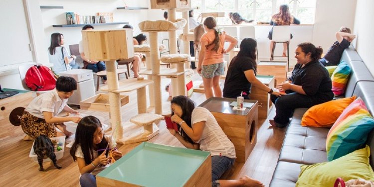 Neko no Niwa, Singapore