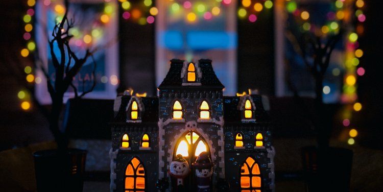 Photo by Charlie Wollborg on Unsplash