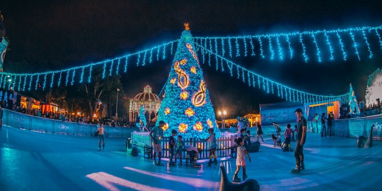 Christmas Wonderland