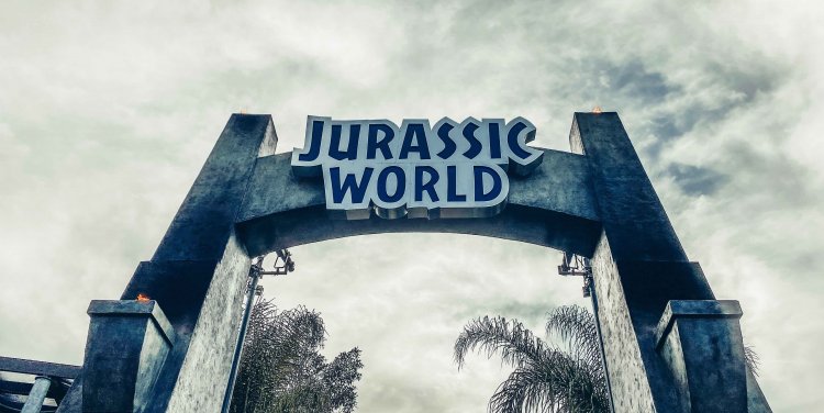 Photo by Christopher Stark on Unsplash