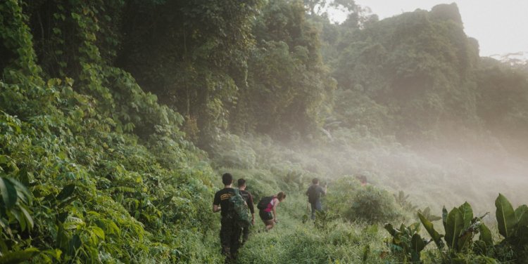 Credit: Louisa May Fung