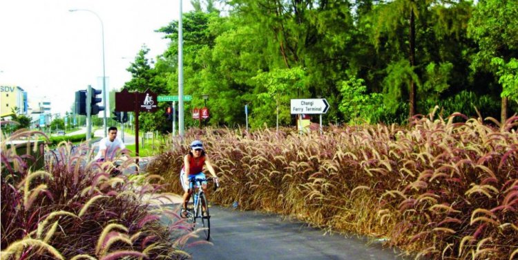 Eastern Coastal Loop