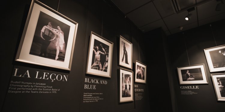 Dance: A Tribute to Rudolf Nureyev (Credit: Arron Teo Art-Photography)