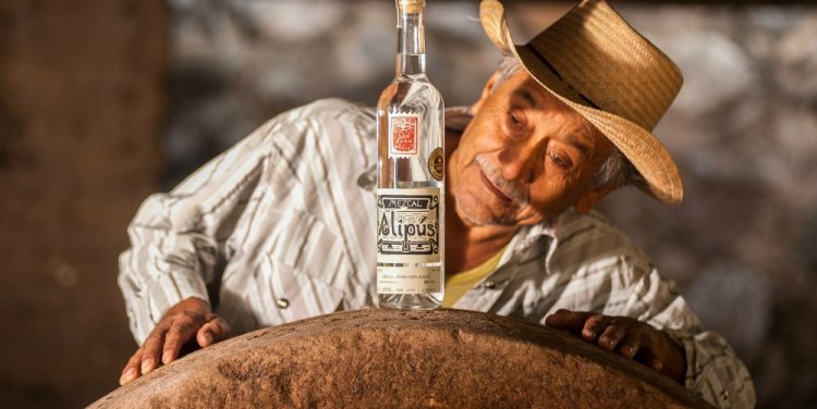 Photo credit: Proof & Company