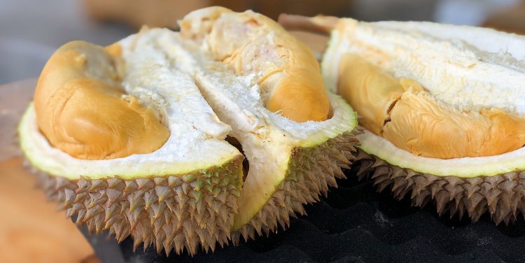 Credit: Jim Teo on Unsplash