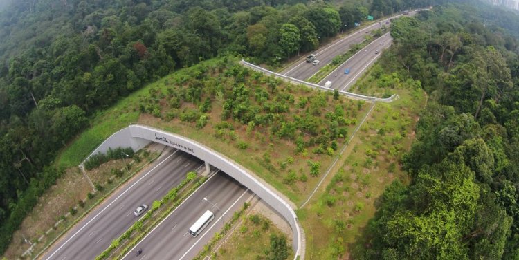 Eco-Link@BKE. Photo credit: N Parks