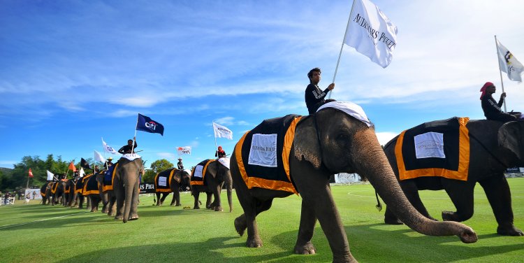 Anantara King's Cup Elephant Polo Tournament