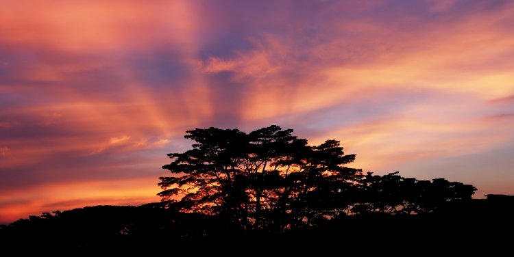 Photo by Erwin Soo via Flickr