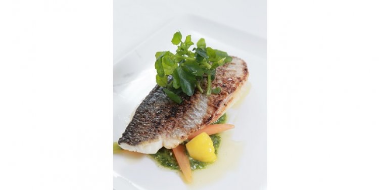 Fillet of sea bass, spring vegetables and pesto dressing sauce
