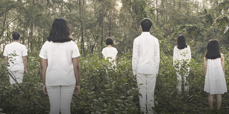 Flowers by Drama Box