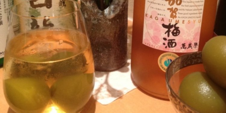 Frozen Umeshu Sake at Sushi Ichi
