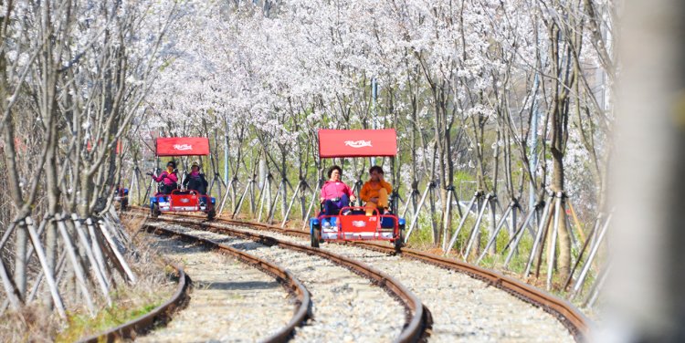 Gangchon Rail Bike