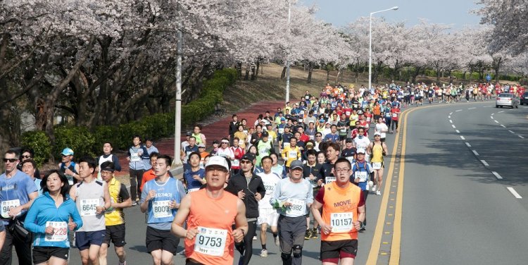 Gyeongju Cherry Marathon, credit: Gyeongju City