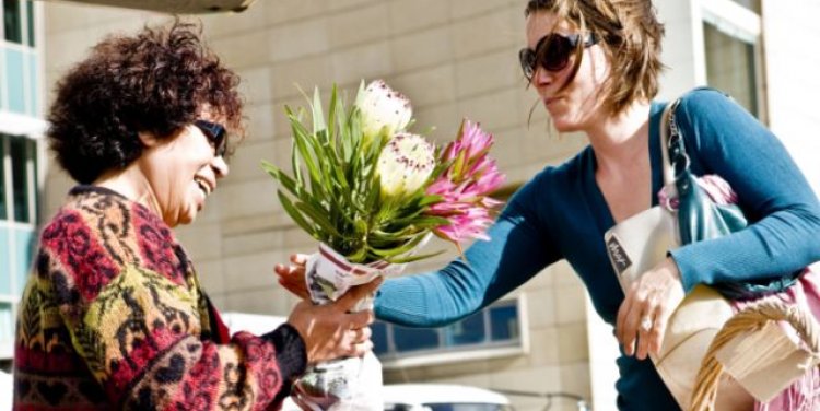 Wellington on a Plate 