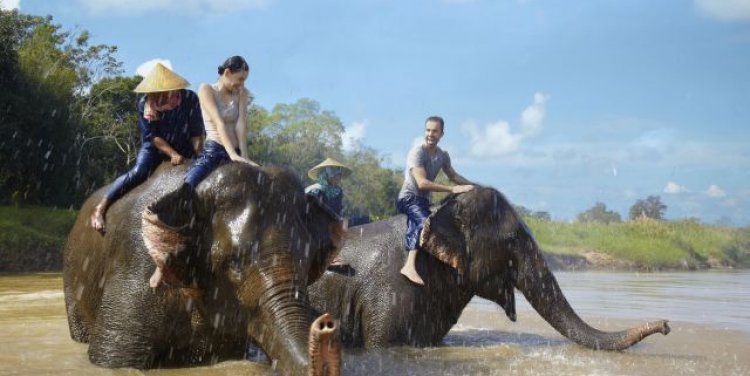 Elephant experiences at Anantara Golden Triangle