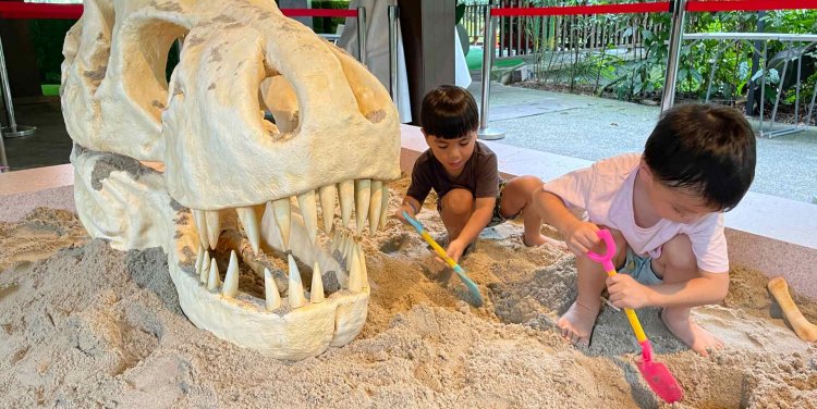 Photo: Mandai Wildlife Group