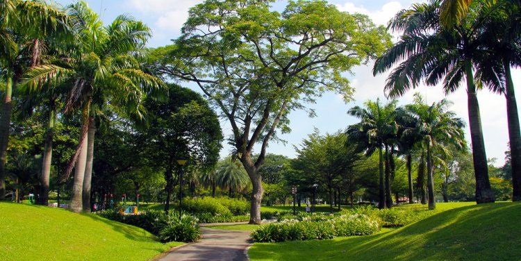 Jurong Lake Garden