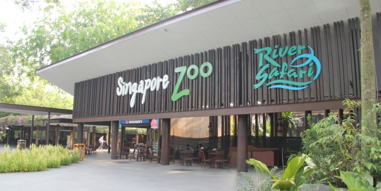 Singapore Zoo