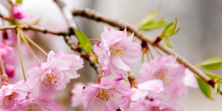 Photo by Kazuhisa Togo