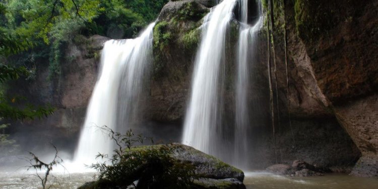 Khao Yai National Park. Photo credit: Chris Huh (via Wikimedia Commons)