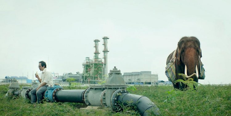 Pop Aye by Kirsten Tan