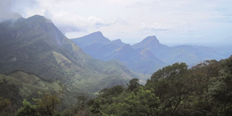 The Knuckles Mountains