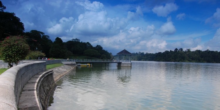 MacRitchie Reservoir, photo credit: Edwin Lim
